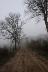 Beautiful autumn landscape on a misty morning with a lonely rural road along the meadows.