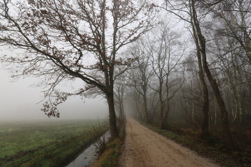 Rural dirt road on a foggy cold november day.