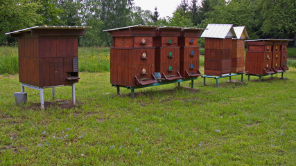 Wooden beehives in Bohemian Forest in Czech republic,Europe
