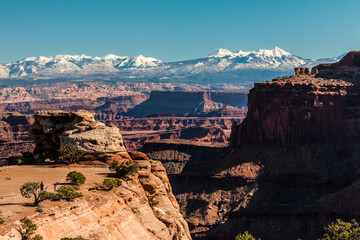 Hiker at The Shafer Overlook Above Monument Basin With The Snow Capped La Sal Mountains In the Distance, Canyonlands National Park, Utah, USA