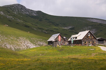 Fototapeta na wymiar Landscape on Schneealpe in Styria, Austria, Europe 