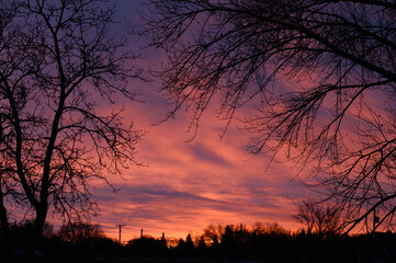  orange sunset in the park