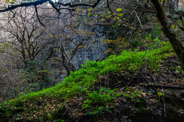 Birtvisi Canyon Georgia