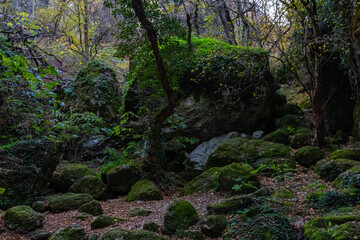 Birtvisi Canyon Georgia