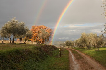 arcobaleno sulla campagna toscana in una giornata di pioggia