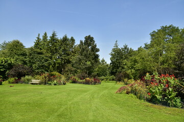 Variété incroyable de plantes et d'arbres à l'arboretum de Kalmthout au nord d'Anvers