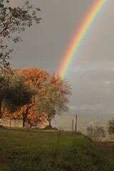 arcobaleno sulla campagna toscana in una giornata di pioggia