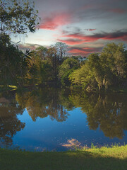 HDR Vertical Pond in Florida at sunset 1