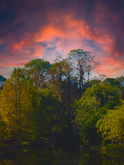 HDR Vertical pond in Florida at sunset 3