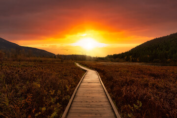 Wooden walking path on One Mile Lake with flowers. Picture taken in Pemberton, British Columbia, Canada. Dramatic Sunrise Sky Art Render.
