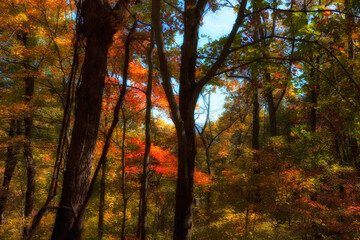 Autumn Scenic Drive along The Blue Ridge Parkway in North Carolina