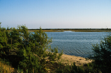 Bassin d'Arcachon, Landes de Gascogne, 33, Gironde