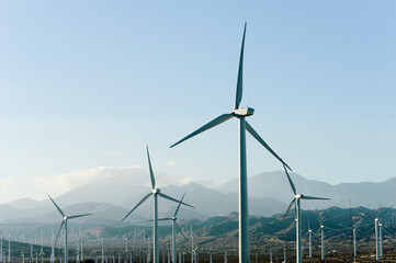 Fototapeta premium Southern California electricity generation windfarm