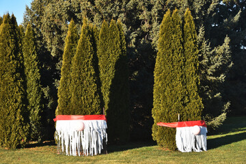 Trees with Elf Noses