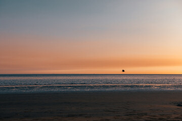 sunset on the beach and flying crow