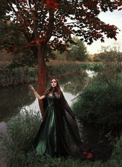 Obraz na płótnie Canvas Female elf in green dress near river