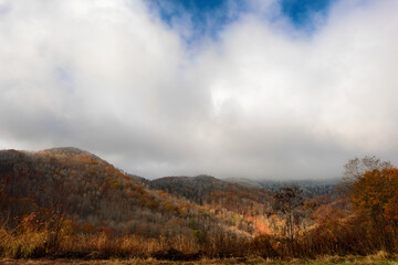 Autumn colors under stormy skies in the Blue Ridge Mountains