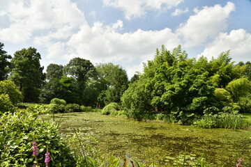 L'étang biologique au milieu de la végétation luxuriante de l'arboretum de Kalmthout au nord d'Anvers