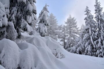Tatry zima zaspy, duże opady śniegu, zasypane szlaki, śnieżyca - obrazy, fototapety, plakaty