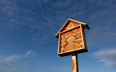 Wooden bee hotel (Insektenhotel) in front of a blue cloudy sky. The facility offers small organisms protection during the winter. Up view. Isolated on blue.