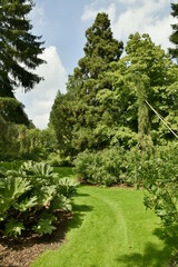 Chemin en gazon entre les différentes plantes et arbres de l'arboretum de Kalmthout au nord d'Anvers