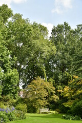 Coin reposant au milieu de la végétation luxuriante et paysagère de l'arboretum de Kalmthout au nord d'Anvers