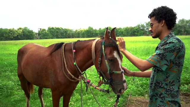 Young handsome man with brown horse.