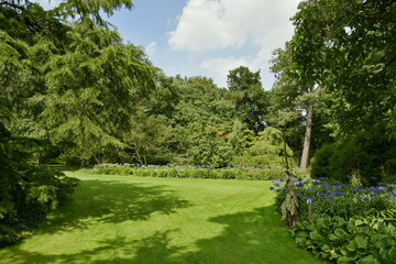 Parterres de végétation luxuriante entre les différents arbres d'une incroyable beauté à l'arboretum de Kalmthout au nord d'Anvers 