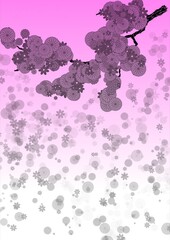 Flowers falling from a branch on a pink background