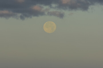 Fototapeta premium moon and clouds