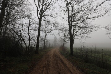 Fototapeta na wymiar Rural dirt road on a foggy cold november day.