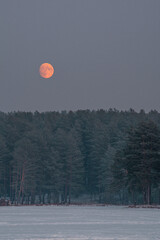 orange moon rising from behind the winter forest
