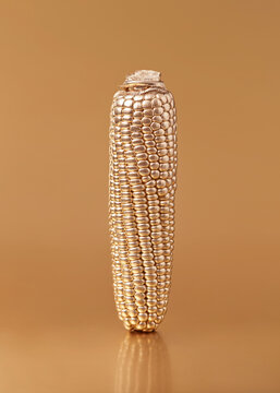 Vertical golden painted corn ear .