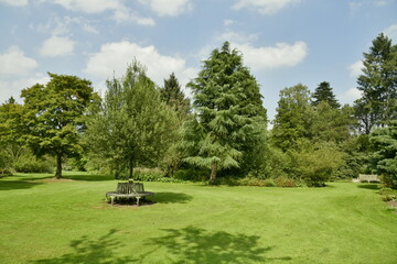 Coin reposant au milieu de la végétation luxuriante et paysagère de l'arboretum de Kalmthout au nord d'Anvers