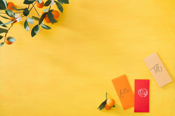 Lunar New Year. Tet Holiday of Vietnamese.