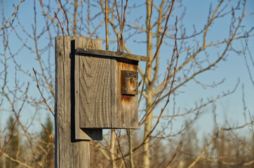 An empty Nesting Box for Tree Swallows