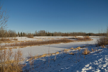 Pylypow during the Late Autumn