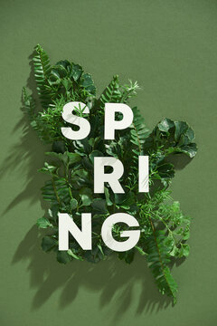 White spring text with leaves on green background flatlay.