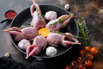 Fresh raw meat quails with herbs, on old rustic background