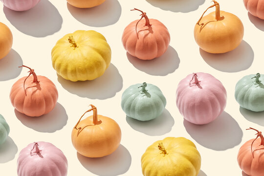 Pumpkins colorful painted with shadows.