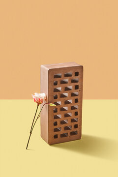 One vertical flower near brick.
