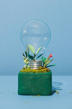 Light Bulb with soil and green plant sprout inside