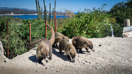 Familia reunida © Omar