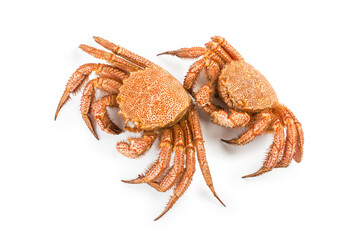 fresh cooked crab quadrangular hairy or red crab isolated on white background