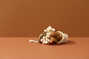 Variety of fresh raw mushrooms