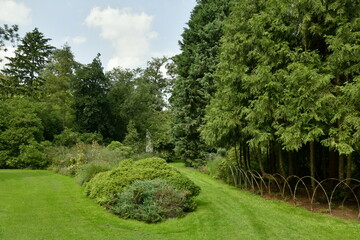 Chemin en gazon entre les différentes plantes et arbres de l'arboretum de Kalmthout au nord d'Anvers