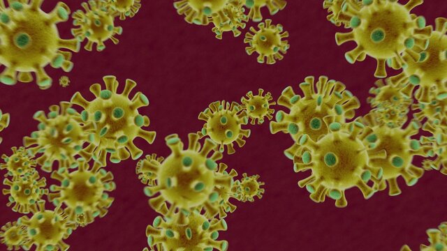 Enlarged models background of Coronavirus bacterias in the red blood.