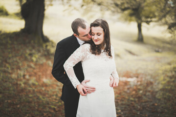 Romantic, fairytale, happy newlywed couple hugging and kissing in a park, trees in background