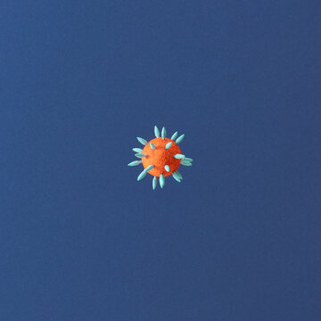 Coronaviruses influenza