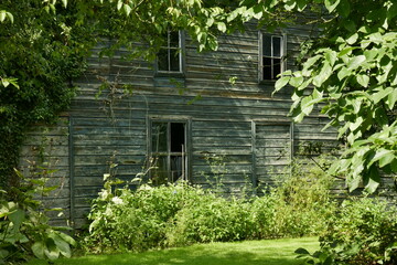 La maison stockant le materiel des jardiniers en pleine végétation luxuriante de l'arboretum de Kalmthout au nord d'Anvers